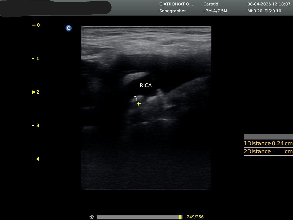 usimage202504080003121808671